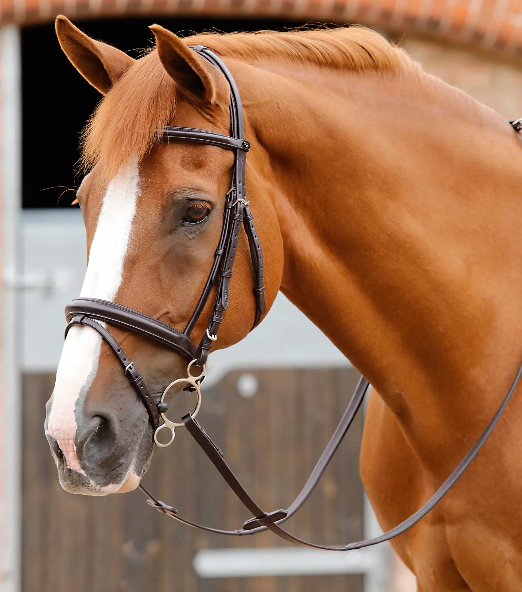 Delizioso Snaffle Bridle