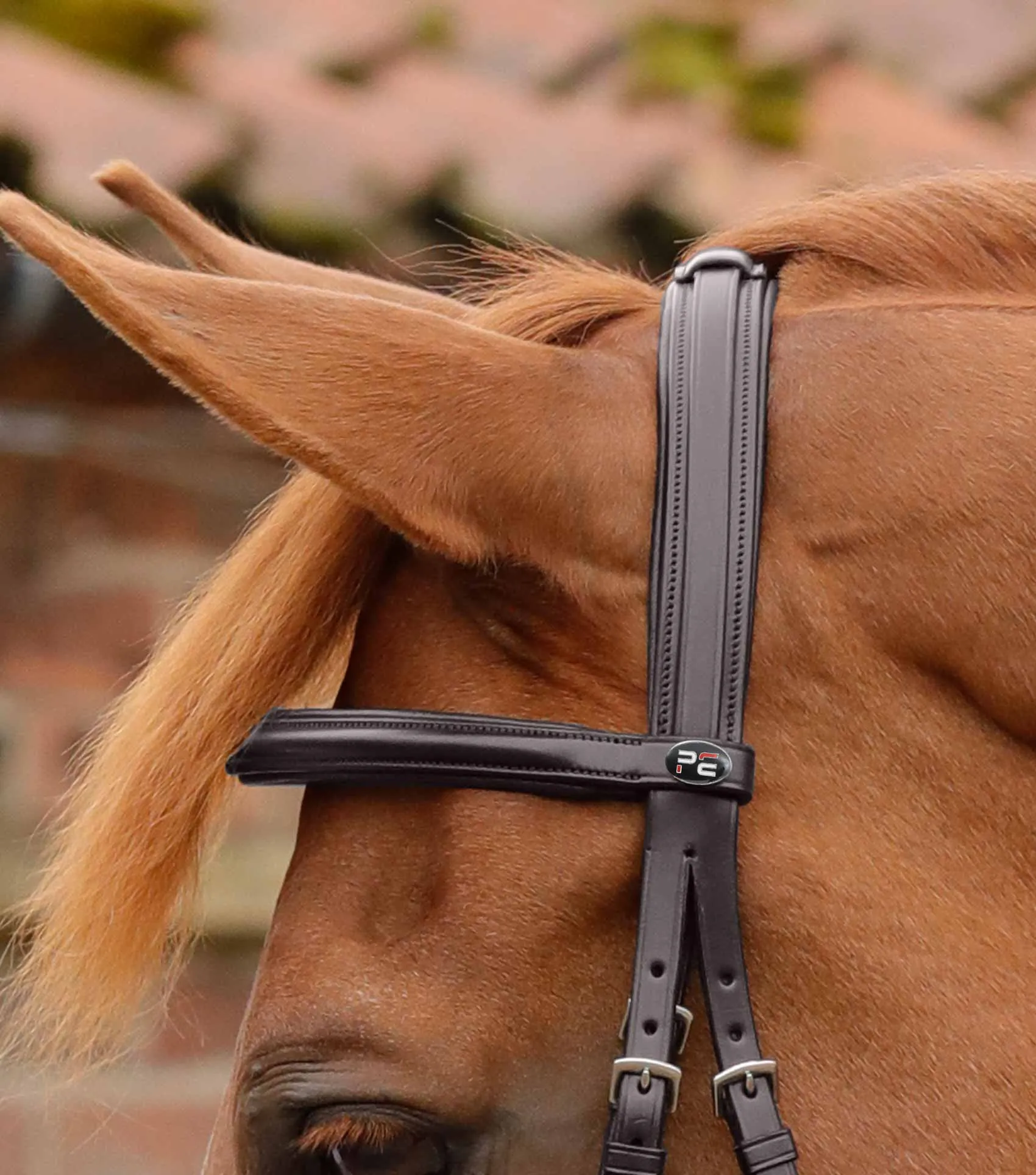 Delizioso Snaffle Bridle