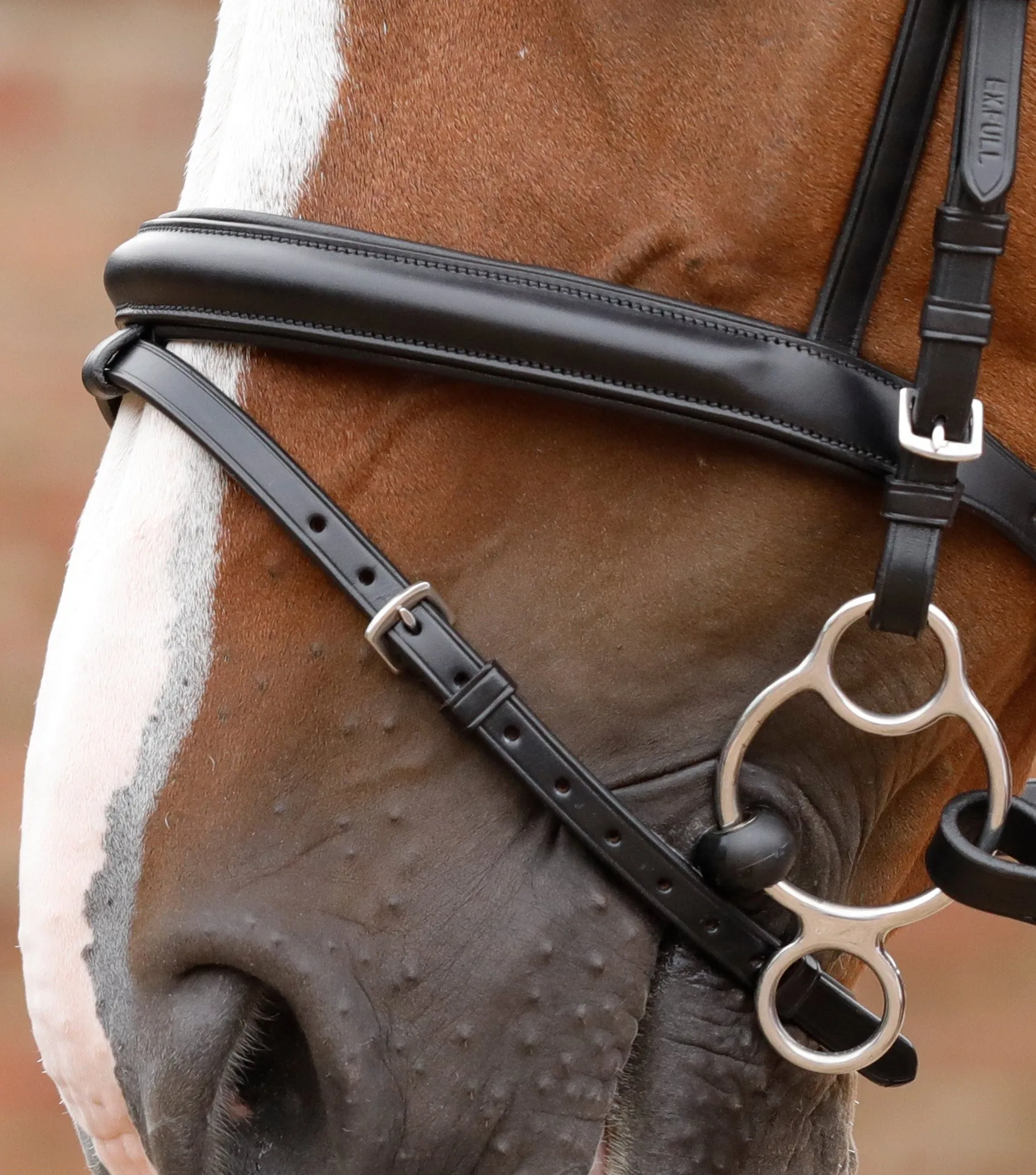 Delizioso Snaffle Bridle