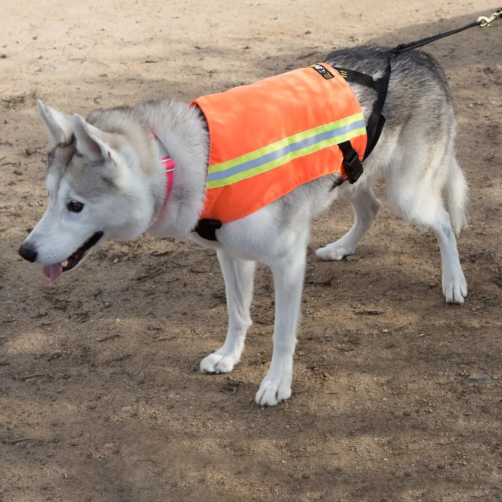 See-Me K9 Safety Vest